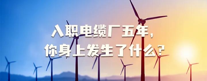 入職電纜廠五年，你身上發(fā)生了哪些變化~